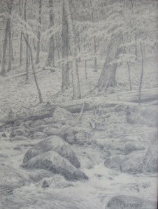 Cranberry Meadow Pond Trail by Michael Cherry