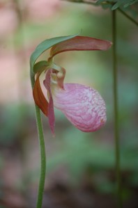 Photograph by Eric Poor