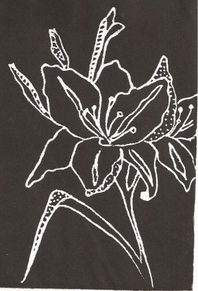 Lily by Barbara Bald