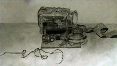 Drawing by Haley Greenyer