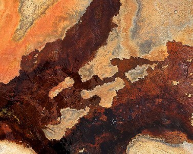 Fall Abstract Colors by John Van Besien