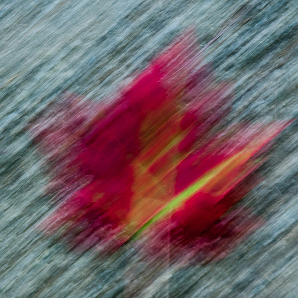 Photograph by Frank Gorga