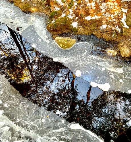 Icy Stream by Jesseca P. Timmons