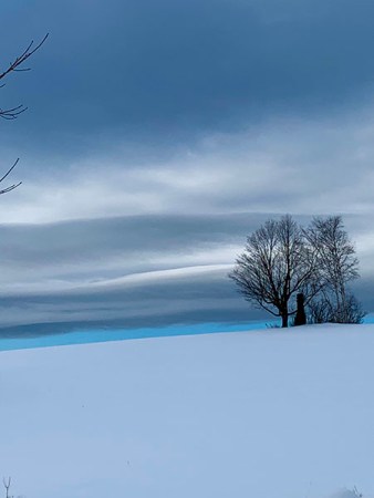 Line of Sky by Jesseca P. Timmons